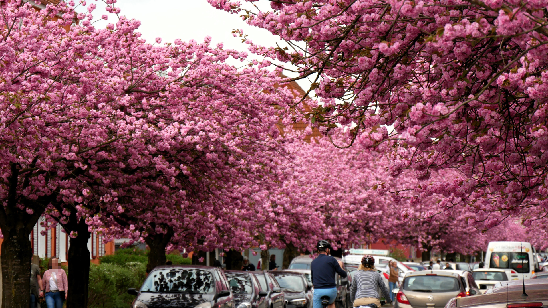 Mein Bielefeld. Meine Heimat.