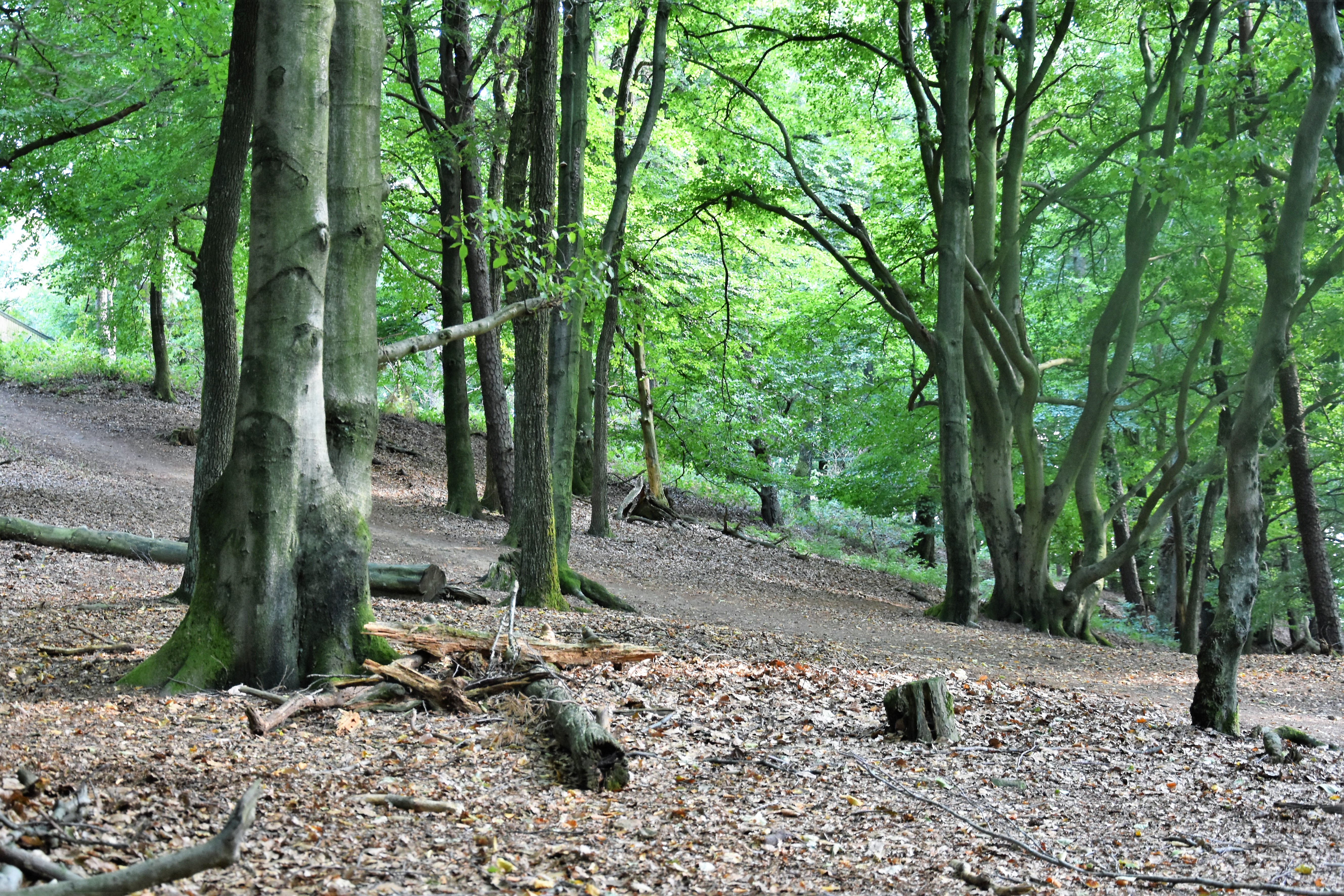 Umwelt und Natur - Kpfchen statt Verbote