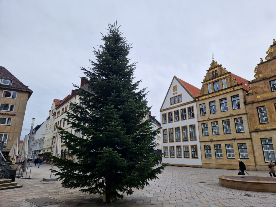 Weihnachtsbaum Wahnsinn in Bielefeld - Bäume werden extra angeliefert (Foto: Lange)